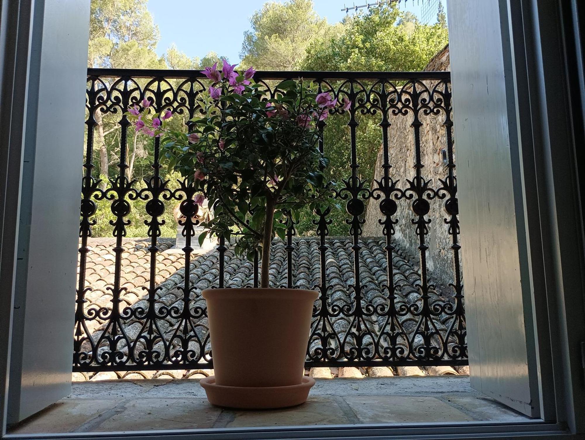 La Maison De La Traverse Saint-Guilhem-le-Desert